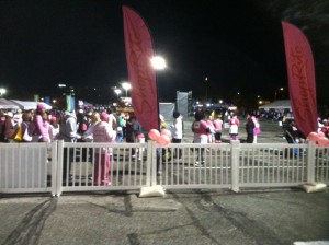 A quick shot of Race Village from The Survivors Tent 